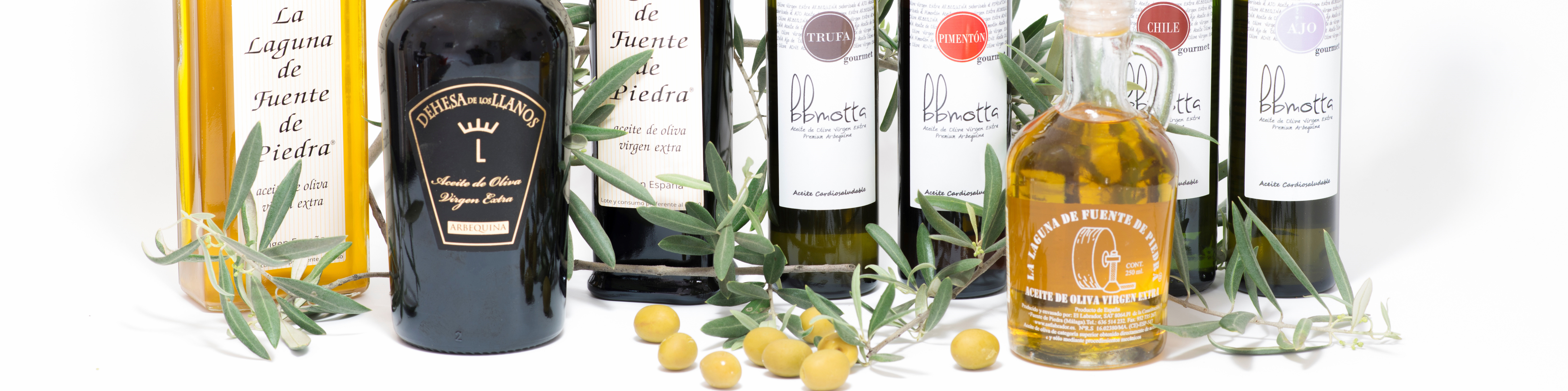  Spanish olive oils